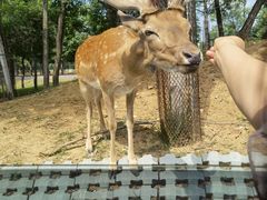 -秦皇岛野生动物园