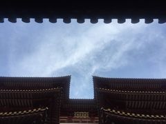 -新加坡佛牙寺龙华院