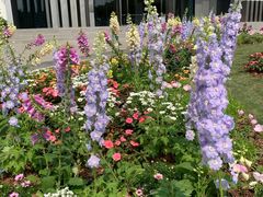 -深圳国际园林花卉博览园