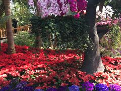-北京植物园-展览温室