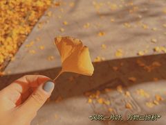 -万泉公园