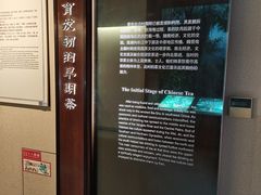 -中国茶叶博物馆(双峰馆区)
