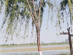 -咸阳湖景区