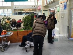 -沈阳市骨科医院