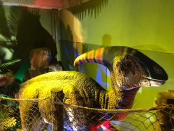 -恐龙探索乐园(磁器口店)