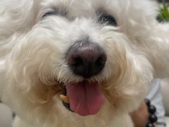 -美联众合动物医院·24h转诊中心