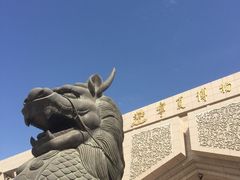 -宁夏博物馆