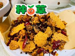 新派辣子鸡-大地烙馍村(商城路店)