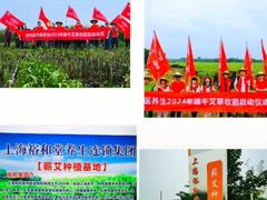 -裕和堂中医推拿艾灸(太古汇臻品店)