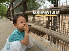 -太原动物园