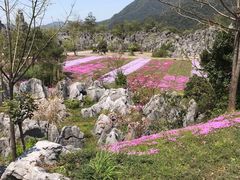 -千岛湖石林