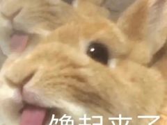 -清真·尖子尖牛肉面(王府井店)