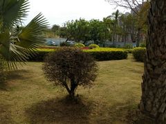 -华侨大学(厦门校区)