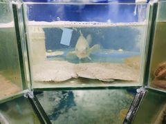 -雅逸居海鲜小厨