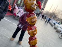 -糖葫芦王保定名吃(古莲花池店)