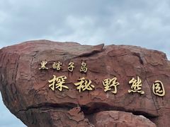 -黑瞎子岛探秘野熊园