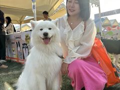 -汇泉广场