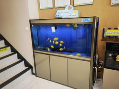 -艾维口腔(春江花月门诊部)