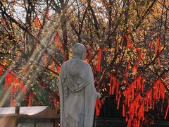 -西安青龙寺遗址景区