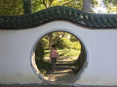-新川办餐厅
