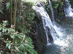 -凤栖山