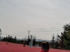 -羊亭河湿地公园