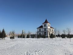 -呼兰河口湿地公园