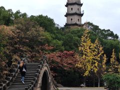 -江心屿景区