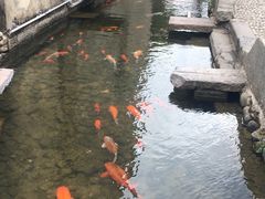 -前童古镇