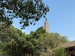 -顺峰山公园