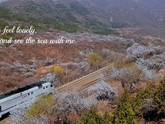 -居庸关长城-2号停车场