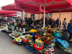 -耶拉契奇总督广场