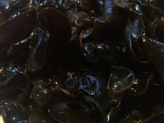 凉拌木耳-荷香居(洞企石路店)