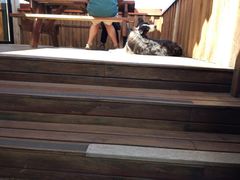 -12 Rocks Beach Bar Cafe
