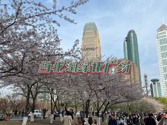 -西北湖绿化广场