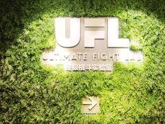 -EFL巴西柔术·综合格斗·泰拳·少儿体能训练(虹桥德必馆)