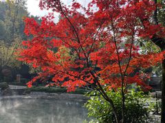 -融汇温泉