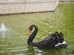 -行者书屋大堂吧 ·下午茶(南京圣和府邸酒店)