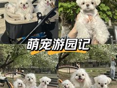-裕华世纪公园