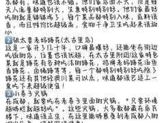 -王婆婆老妈蹄花川菜馆·非物质文化遗产(太古里一店)