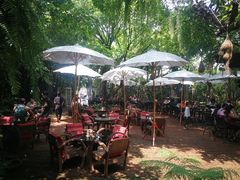-Fern Forest Cafe