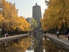 -玲珑塔公园