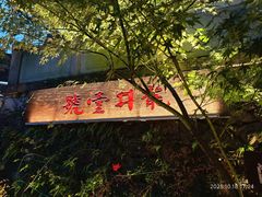 -龙井壹号·茶缘山景宴(龙井村店)
