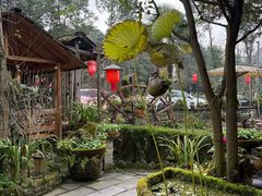 -青城甲(青城山店)