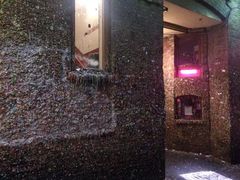 iphone_upload_pic-The Crab Pot Seattle