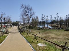 -三垟湿地