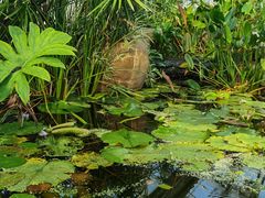 -国家植物园南园