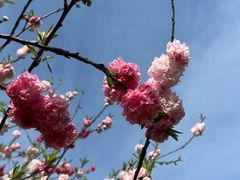 -南山风景名胜区