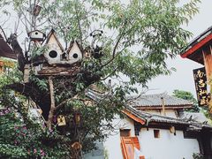 -猫的天空之城概念书店(丽江古城饮玉巷店)