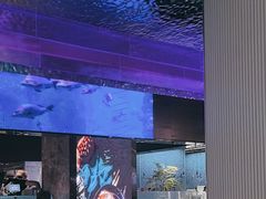 -曼格活海鲜·牛排自助(光明蓝鲸店)